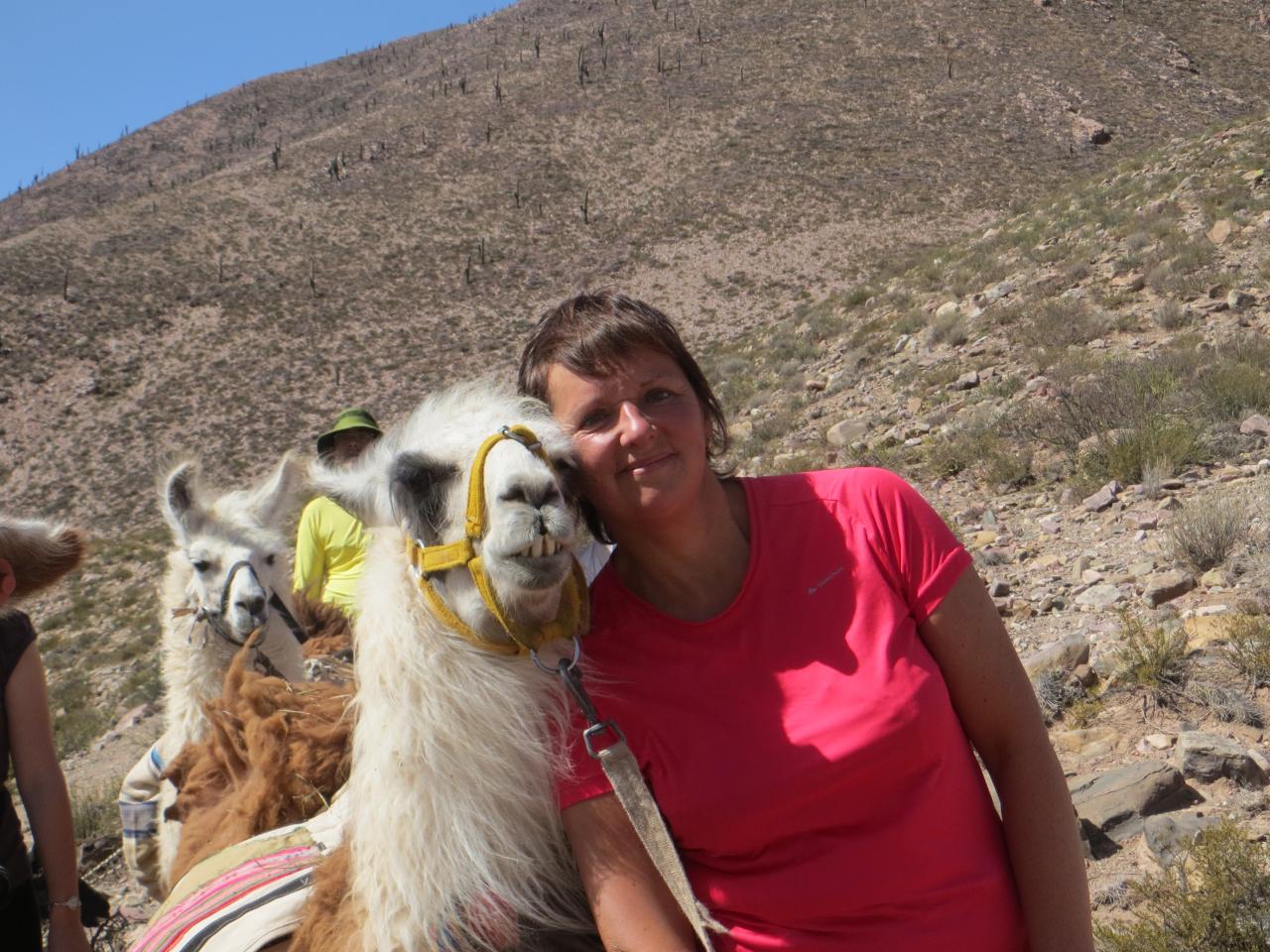 Quebrada de Humahuaca : Randonnée avec les lamas , vallée de Maímara