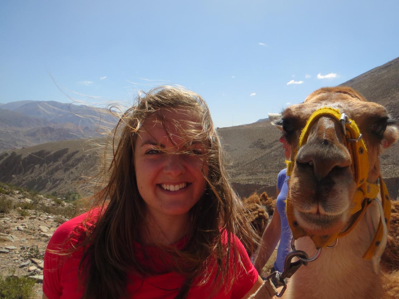 Quebrada de Humahuaca : Randonnée avec les lamas , vallée de Maímara