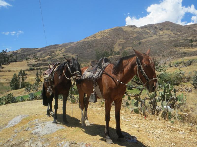 Img 0153