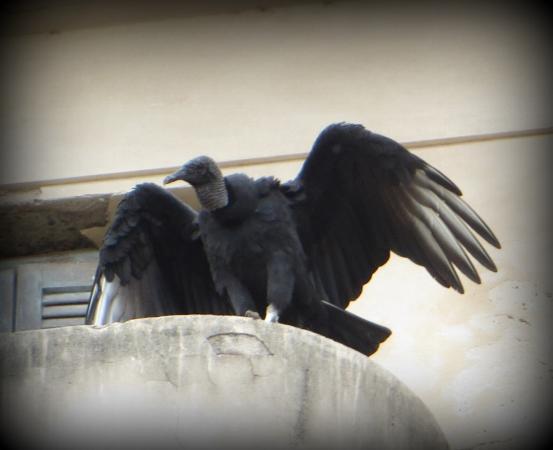 Img 5609 001