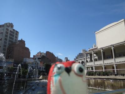 Img 5681