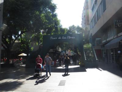 Img 5695