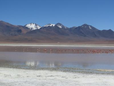Img 9505